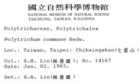 金髮蘚藏品圖，第2張
