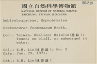 登錄號:B00004519藏品圖，第2張