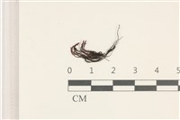 登錄號:B00004521藏品圖，第1張