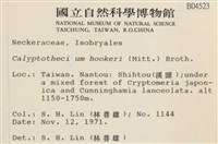 登錄號:B00004523藏品圖，第2張