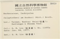 登錄號:B00004524藏品圖，第2張