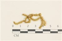 登錄號:B00004524藏品圖，第1張