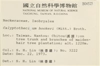 登錄號:B00004525藏品圖，第2張