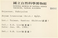 登錄號:B00004543藏品圖，第2張