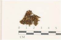 登錄號:B00004554藏品圖，第1張