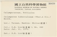 登錄號:B00004559藏品圖，第2張