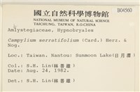 登錄號:B00004560藏品圖，第2張