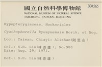 登錄號:B00004565藏品圖，第2張