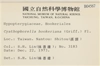 登錄號:B00004567藏品圖，第2張