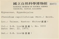 細葉櫛葉蘚, 毛葉梳蘚藏品圖，第2張