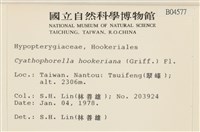 登錄號:B00004577藏品圖，第2張