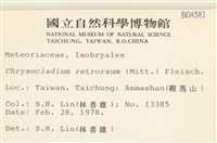 登錄號:B00004581藏品圖，第2張