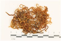 登錄號:B00004581藏品圖，第1張