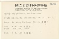 登錄號:B00004582藏品圖，第2張