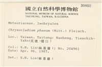 登錄號:B00004601藏品圖，第2張
