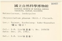 登錄號:B00004603藏品圖，第2張