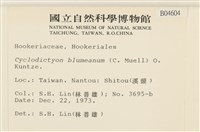 登錄號:B00004604藏品圖，第2張