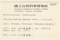 登錄號:B00004607藏品圖，第2張