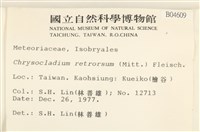 登錄號:B00004609藏品圖，第2張