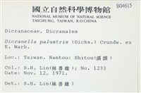 登錄號:B00004615藏品圖，第2張