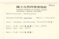 登錄號:B00004619藏品圖，第2張