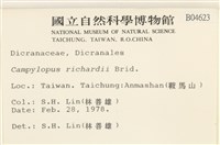 節莖曲柄蘚藏品圖，第2張