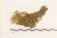 登錄號:B00004628藏品圖，第1張