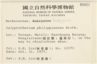 登錄號:B00004631藏品圖，第2張