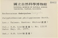 登錄號:B00004632藏品圖，第2張