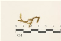 登錄號:B00004632藏品圖，第1張