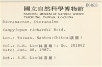 節莖曲柄蘚藏品圖，第2張