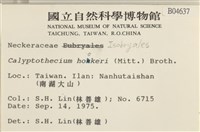 登錄號:B00004637藏品圖，第2張