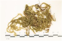 登錄號:B00004637藏品圖，第1張