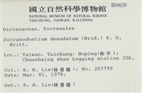 青毛苔藏品圖，第2張
