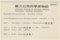 登錄號:B00004648藏品圖，第2張