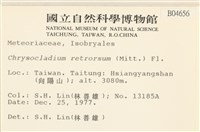 登錄號:B00004656藏品圖，第2張