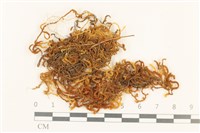 登錄號:B00004656藏品圖，第1張