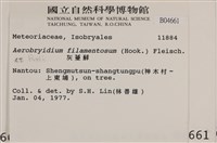 毛扭蘚藏品圖，第2張