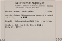 毛扭蘚藏品圖，第2張