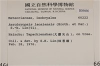 登錄號:B00004666藏品圖，第2張