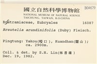 大熱澤蘚藏品圖，第2張