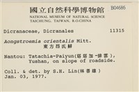 東亞昂氏蘚,東方昂氏蘚藏品圖，第2張