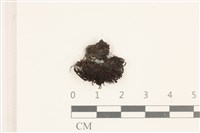 登錄號:B00004687藏品圖，第1張