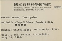 鞭枝懸蘚藏品圖，第2張