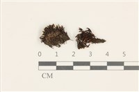 登錄號:B00004692藏品圖，第1張