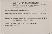 大灰氣蘚藏品圖，第2張