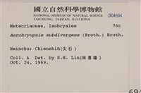 大灰氣蘚藏品圖，第2張