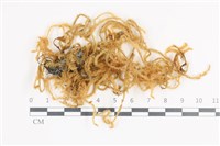 登錄號:B00004695藏品圖，第1張