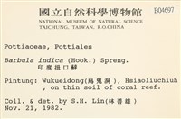 印度扭口蘚藏品圖，第2張