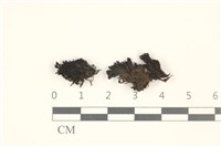 登錄號:B00004698藏品圖，第1張